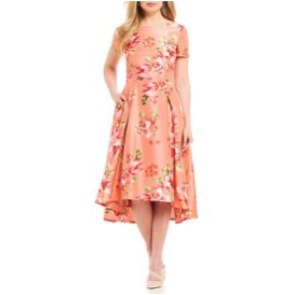 Preston & York Fiona Dress - Picture 2 of 4